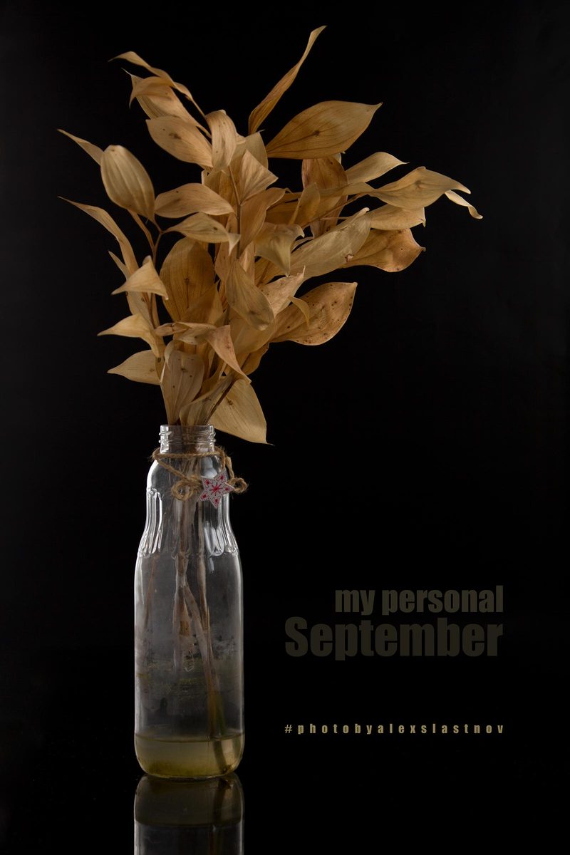 Still life of dried leaves in a glass bottle on a black reflective surface